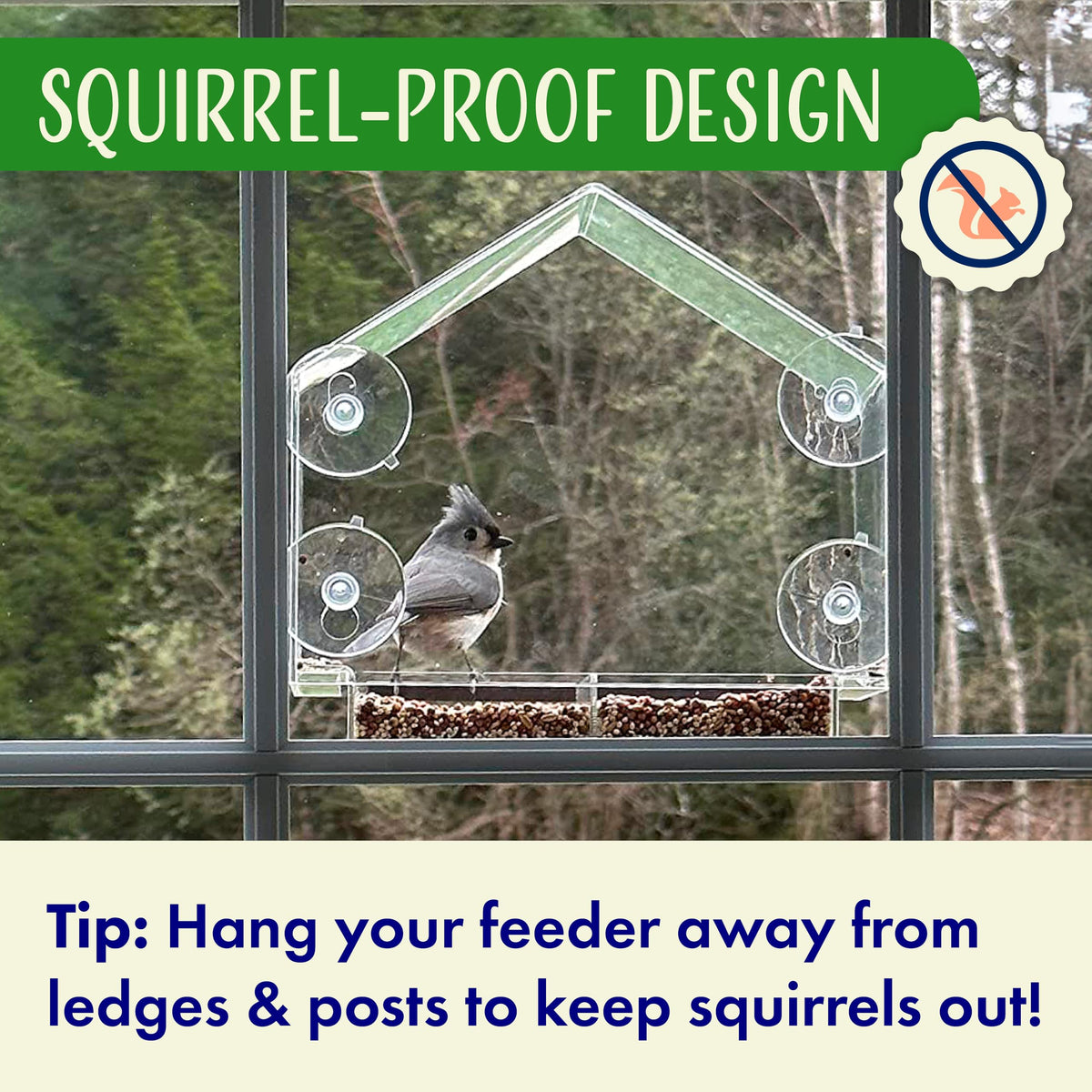 Nature's Hangout transparent window feeder for unobstructed outdoor viewing from indoors.
