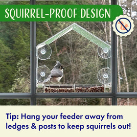 Nature's Hangout transparent window feeder for unobstructed outdoor viewing from indoors.