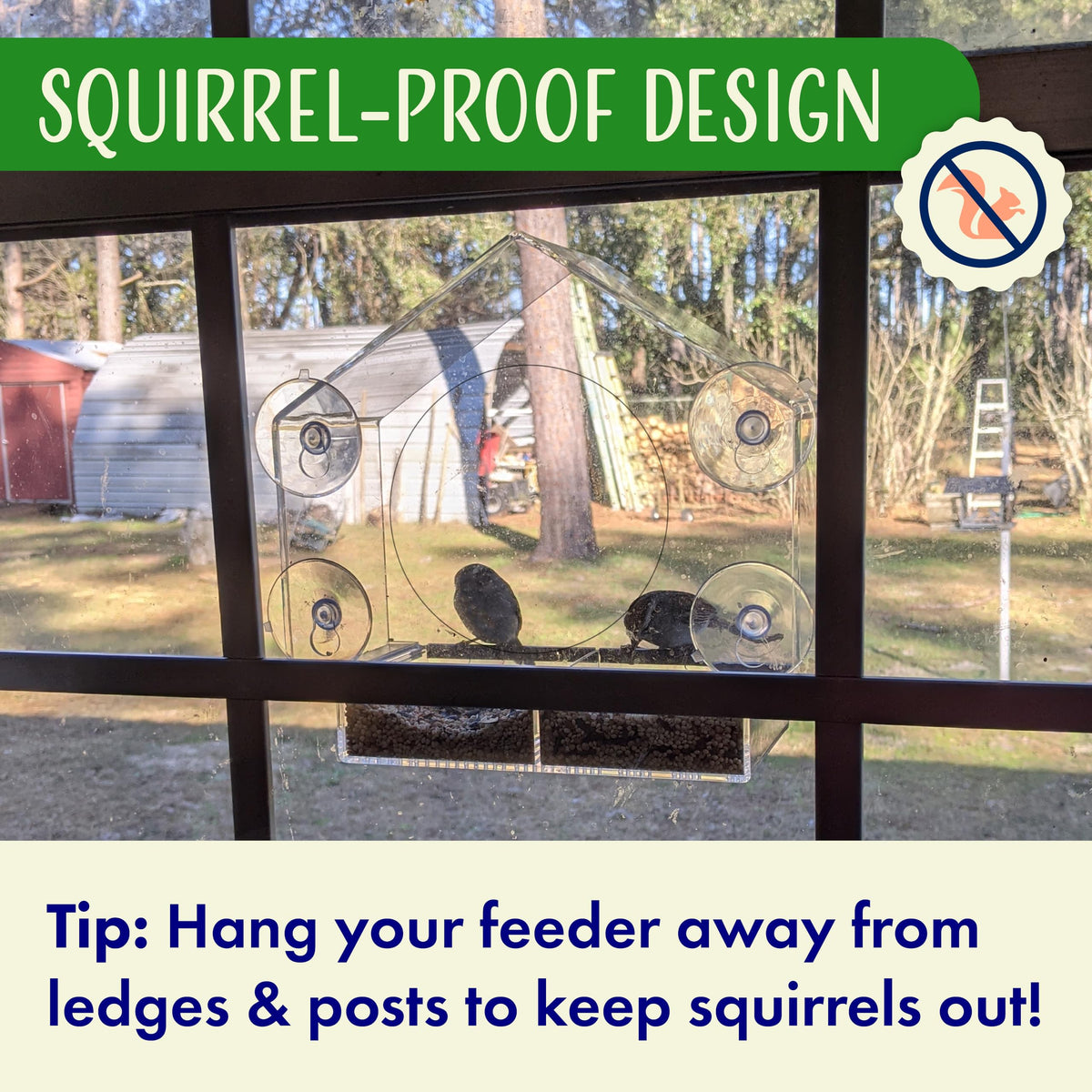 Nature's Hangout weather-proof window feeder ready for rain and wind.