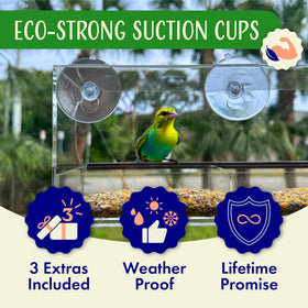 Huge capacity over four cups of seed for longer viewing sessions