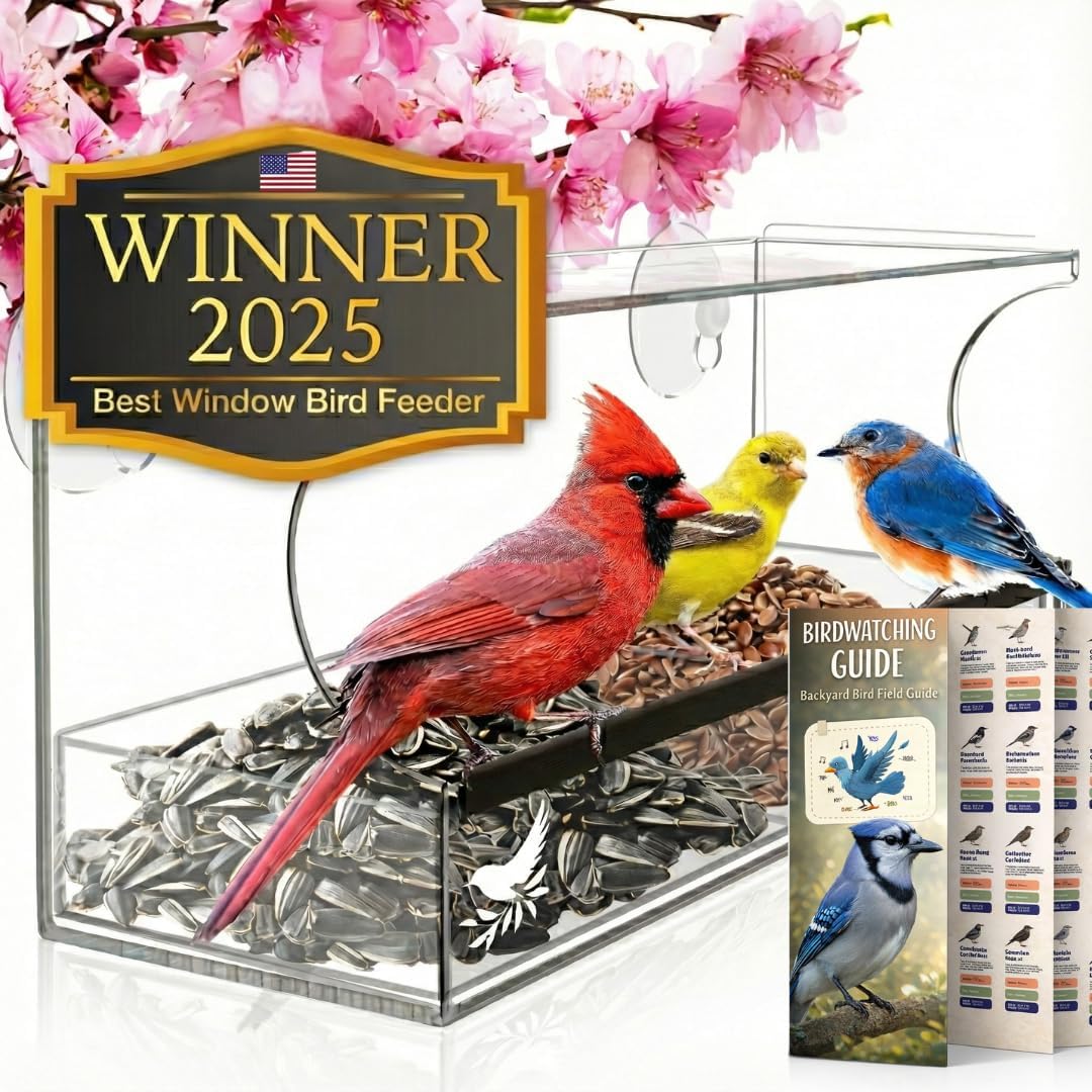 Nature's Hangout window bird feeder offers up-close viewing through clear acrylic