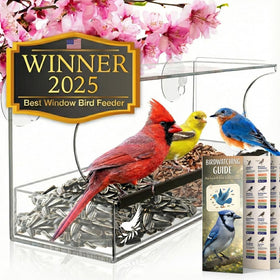 Nature's Hangout window bird feeder offers up-close viewing through clear acrylic