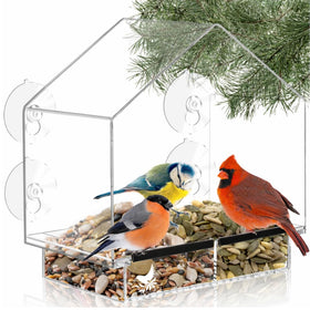 Nature's Hangout window bird feeder mounted on glass for close-up backyard birdwatching.