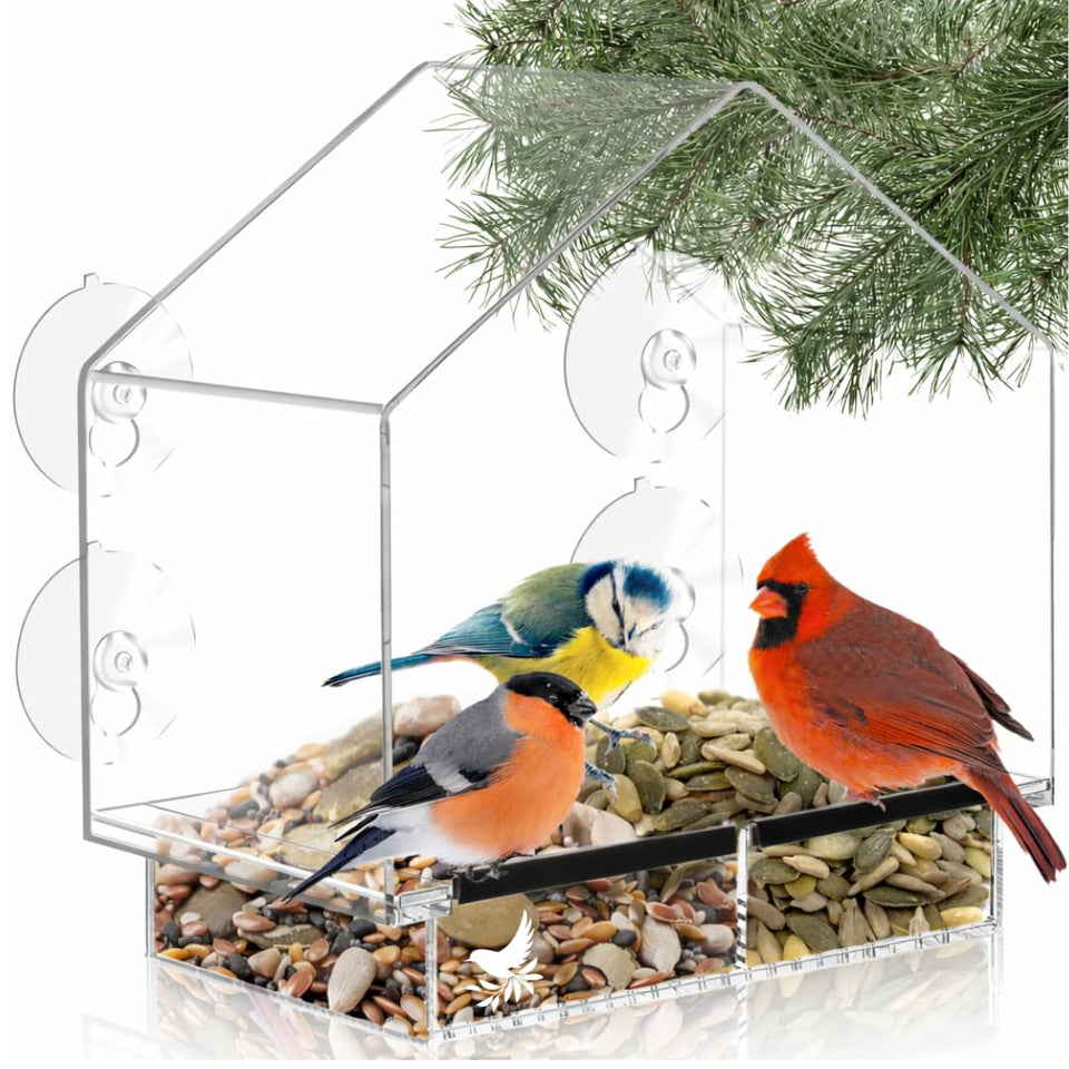 Nature's Hangout window bird feeder mounted on glass for close-up backyard birdwatching.