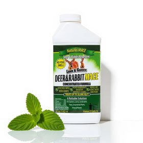 Nature's MACE 40oz concentrate for large-area deer and rabbit repellent.