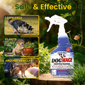 Close-up of spray application shown for yard training with plant-based oils.