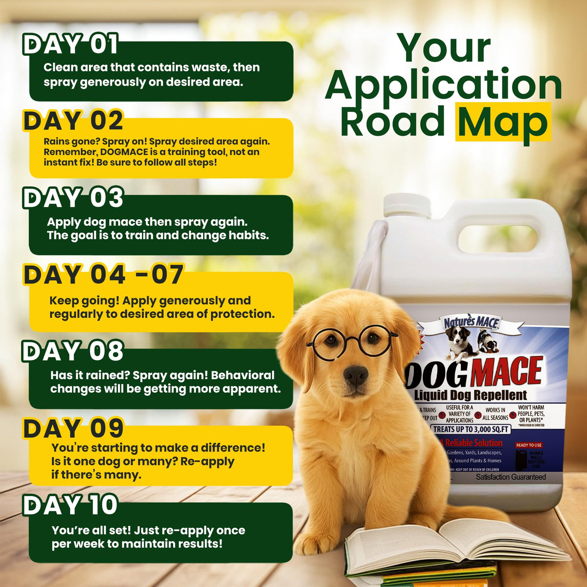 Nature’s MACE Dog Mace Spray for indoor use in training.