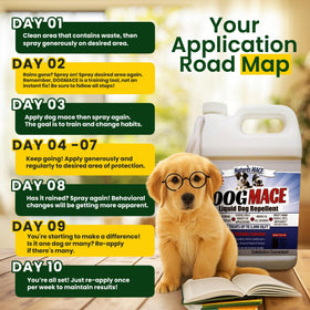 Nature’s MACE Dog Mace Spray for indoor use in training.