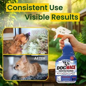 Nature’s MACE US-made spray supports year-round yard management.