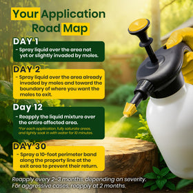 Nature's MACE ground application demonstrating soil-targeted deterrence against moles