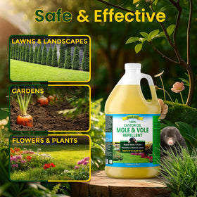 Nature's MACE plant-base spray emphasizing all-season protection around greenery