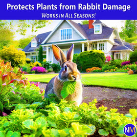 Nature's MACE application image shows perimeter spray coverage around garden beds
