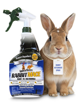 Nature's MACE rabbit-repellent-spray mint bottle deters rabbits around plants