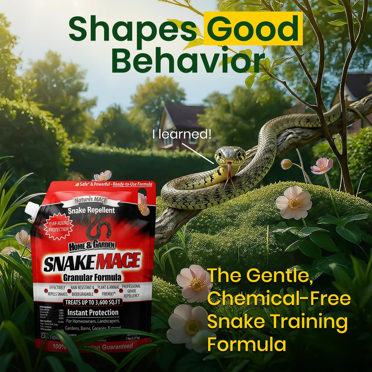 Granules spread evenly across a lawn to create outdoor protection.