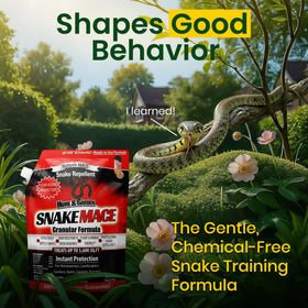 Granules spread evenly across a lawn to create outdoor protection.