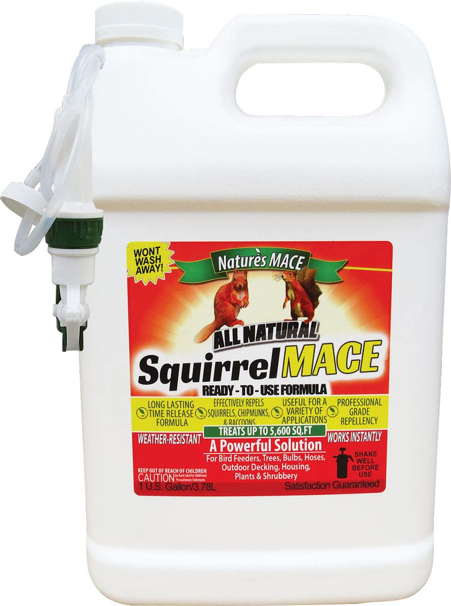 Nature's MACE Squirrel Repellent spray bottle protecting trees and planters.