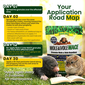 Nature's MACE weather-ready formula works year-round for burrowing pest deterrence.