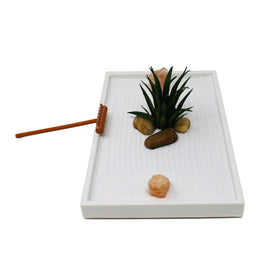 Nature's Mark faux air plant enhances decor and low-maintenance zen vibes.