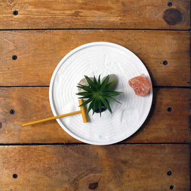 Nature's Mark Zen Garden air plant brings living accent and texture.