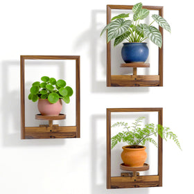 NATURE'S SOURCE hanging planter wall art frame with lush greenery.
