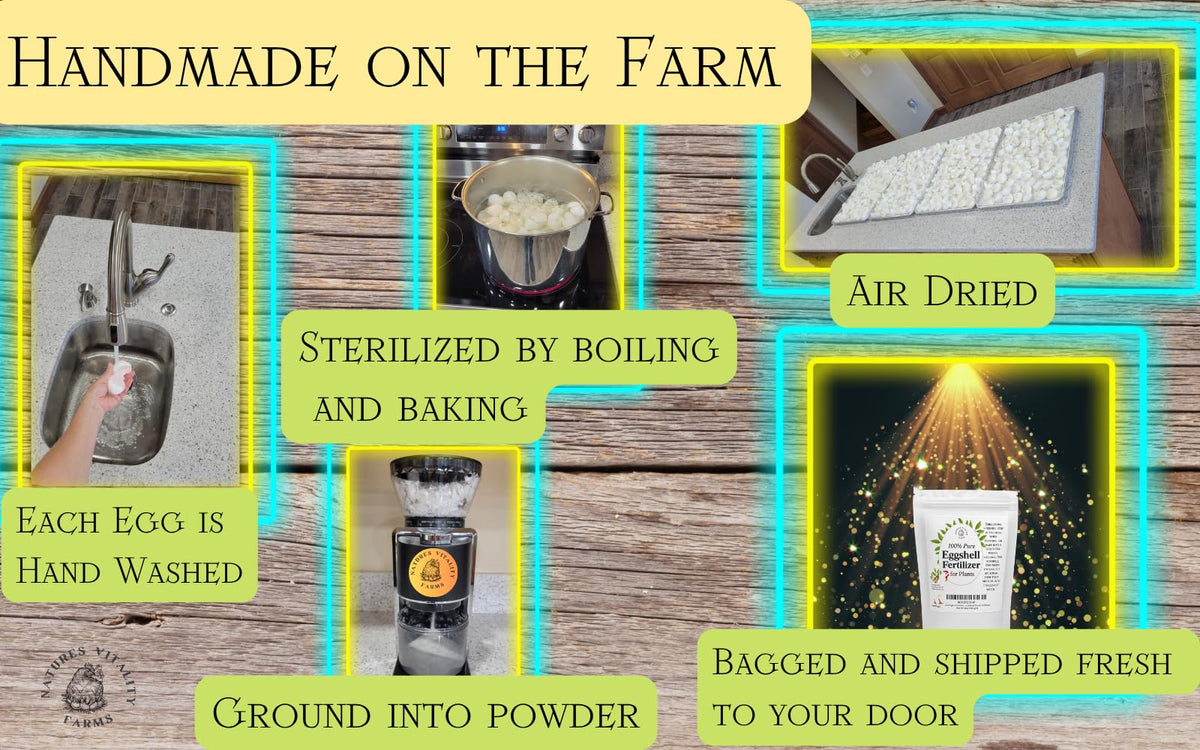 Natures Vitality Farms indoor plants benefiting from calcium magnesium phosphorus boost.