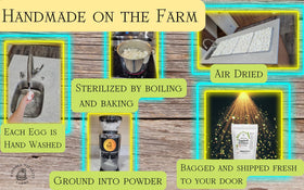 Natures Vitality Farms indoor plants benefiting from calcium magnesium phosphorus boost.