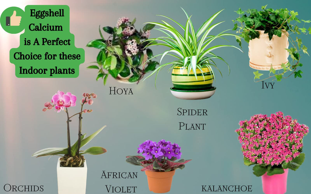Natures Vitality Farms natural fertilizer powder supports healthy garden growth.