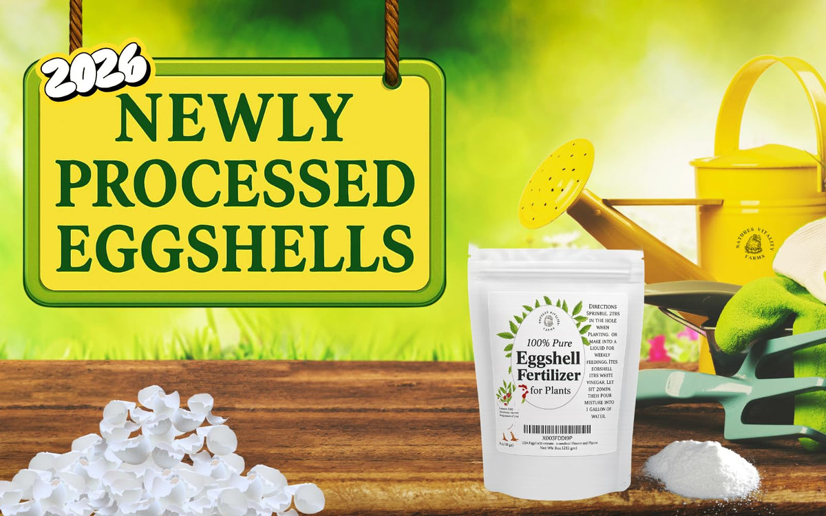 Natures Vitality Farms orchids receiving eggshell fertilizer for healthy blooms.