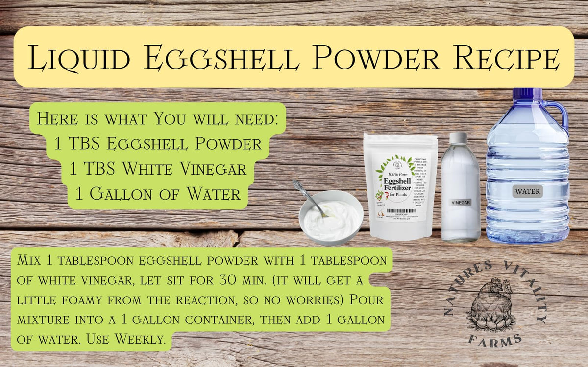 Natures Vitality Farms tomatoes with blossom end rot prevention using eggshell.