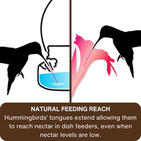 Nature's Way 6oz nectar capacity keeps hummingbirds fed between refills