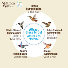 Removable parts enable thorough cleaning for bird health and ease.