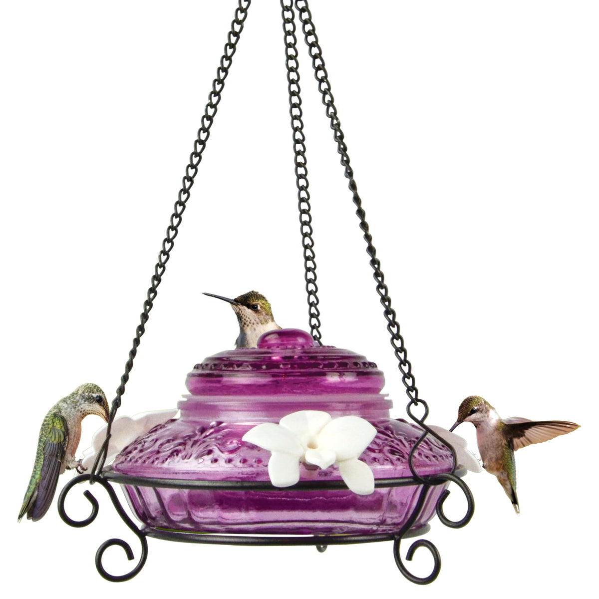 Nature's Way ANTHF1 antique textured glass hummingbird feeder with elegant design and easy viewing.