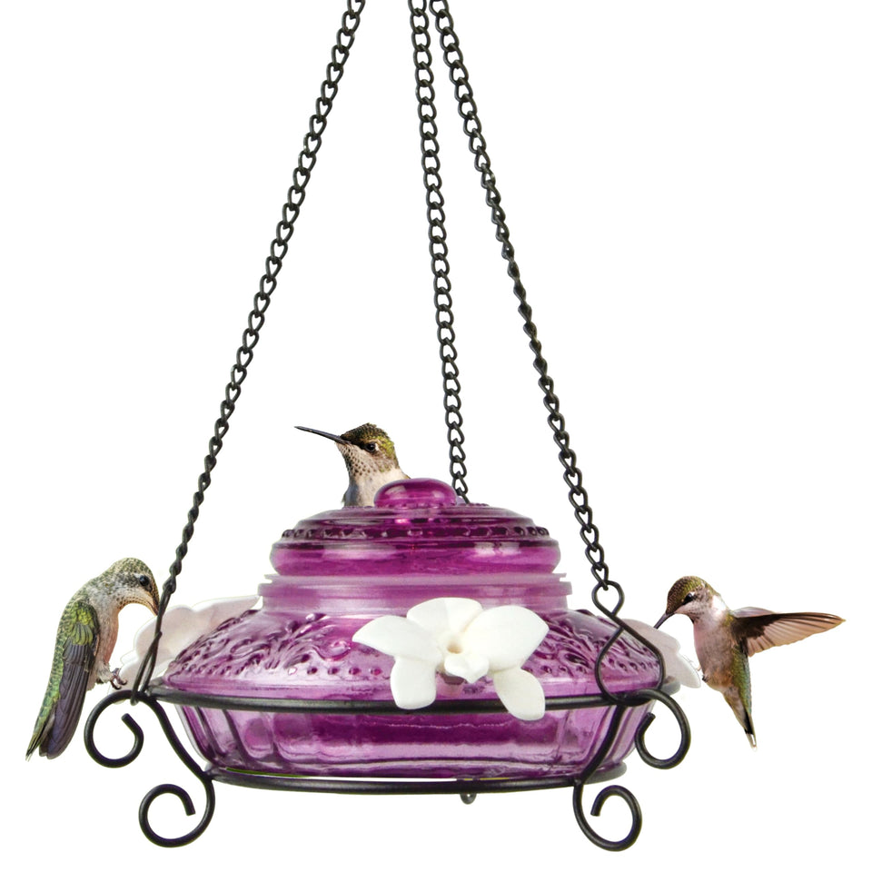Nature's Way ANTHF1 antique textured glass hummingbird feeder with elegant design and easy viewing.