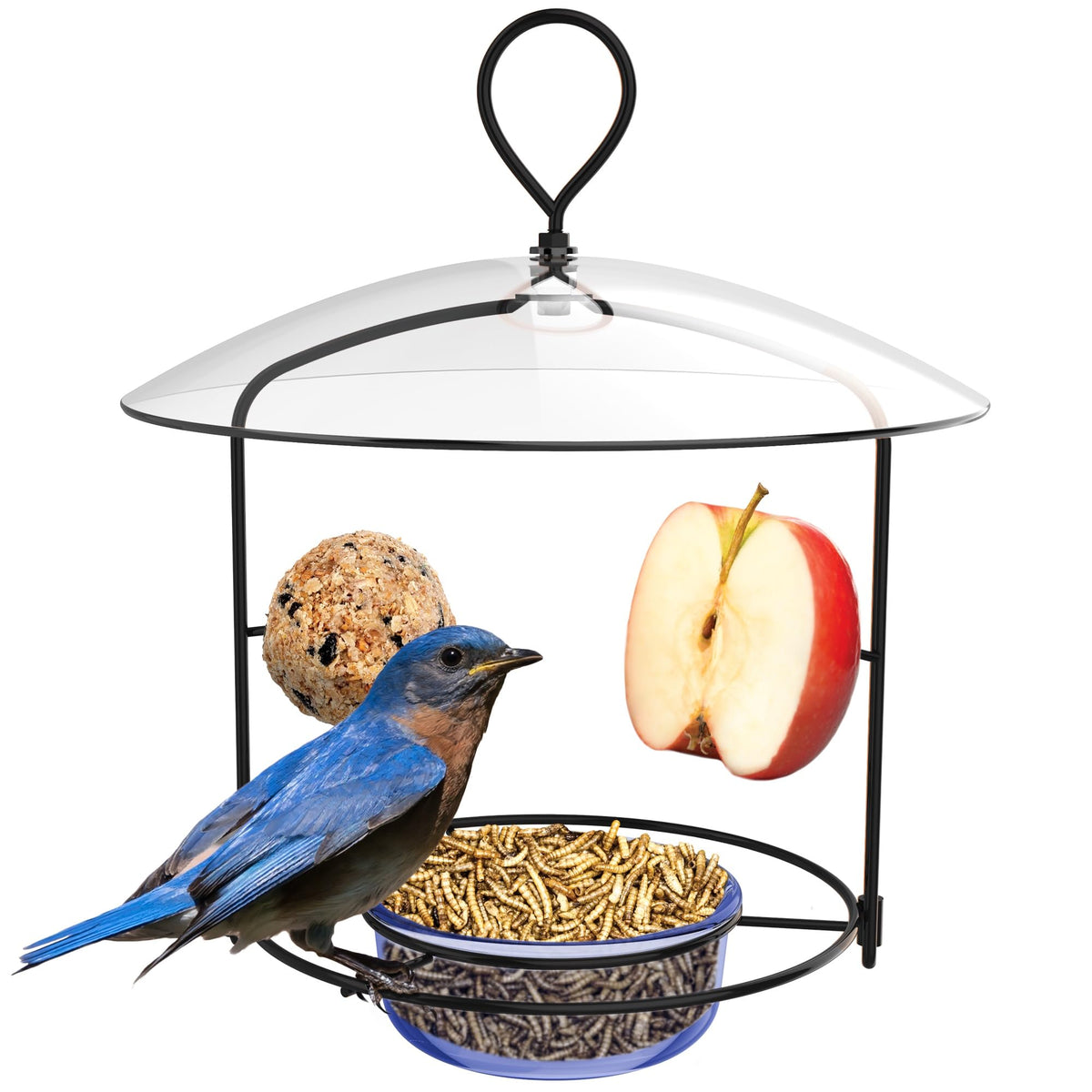 Nature's Way BBFM1 bluebird buffet feeder front view supports multiple birds
