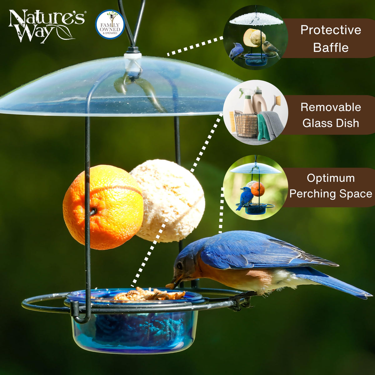 Nature's Way BBFM1 continuous perching ring enables multiple birds feeding
