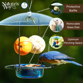 Nature's Way BBFM1 continuous perching ring enables multiple birds feeding