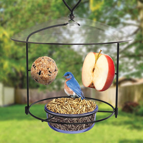 Nature's Way BBFM1 protective baffle on hanger shields feeder from weather