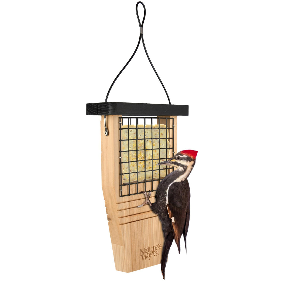 Nature's Way Bird Products CWF1 tail-prop feeder front view attracting woodpeckers