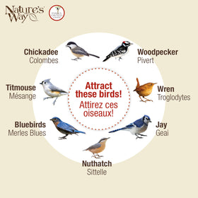 Nature's Way Bird Products CWF1 tail-prop feeder vinyl-coated hanging cable