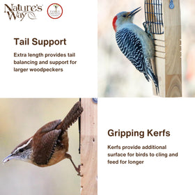 Nature's Way Bird Products CWF1 tail-prop feeder rust-free mesh detail