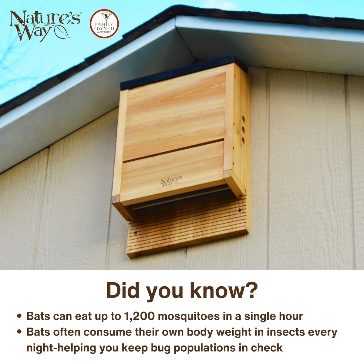 Nature's Way Bird Products CWH6 ventilation design promotes healthy airflow for roost comfort.