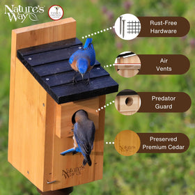 Nature's Way Cedar Bluebird Box entrance with predator guard supports safe fledgling exit