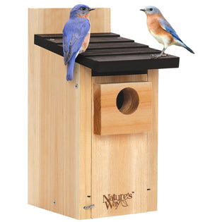 Nature's Way Cedar Bluebird Box front view featuring predator guard for nest protection