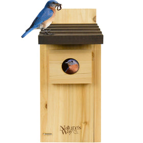 Nature's Way Cedar Bluebird House front view with predator shield offering brood protection.