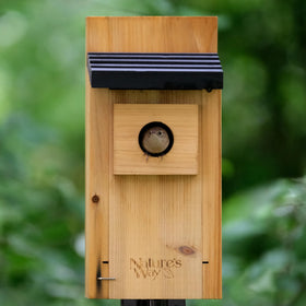 Nature's Way Cedar Bluebird House mounting options for pole or flush installation.