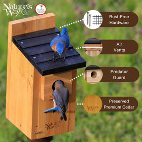 Nature's Way Cedar Bluebird House ventilation holes promote airflow inside the nesting chamber.