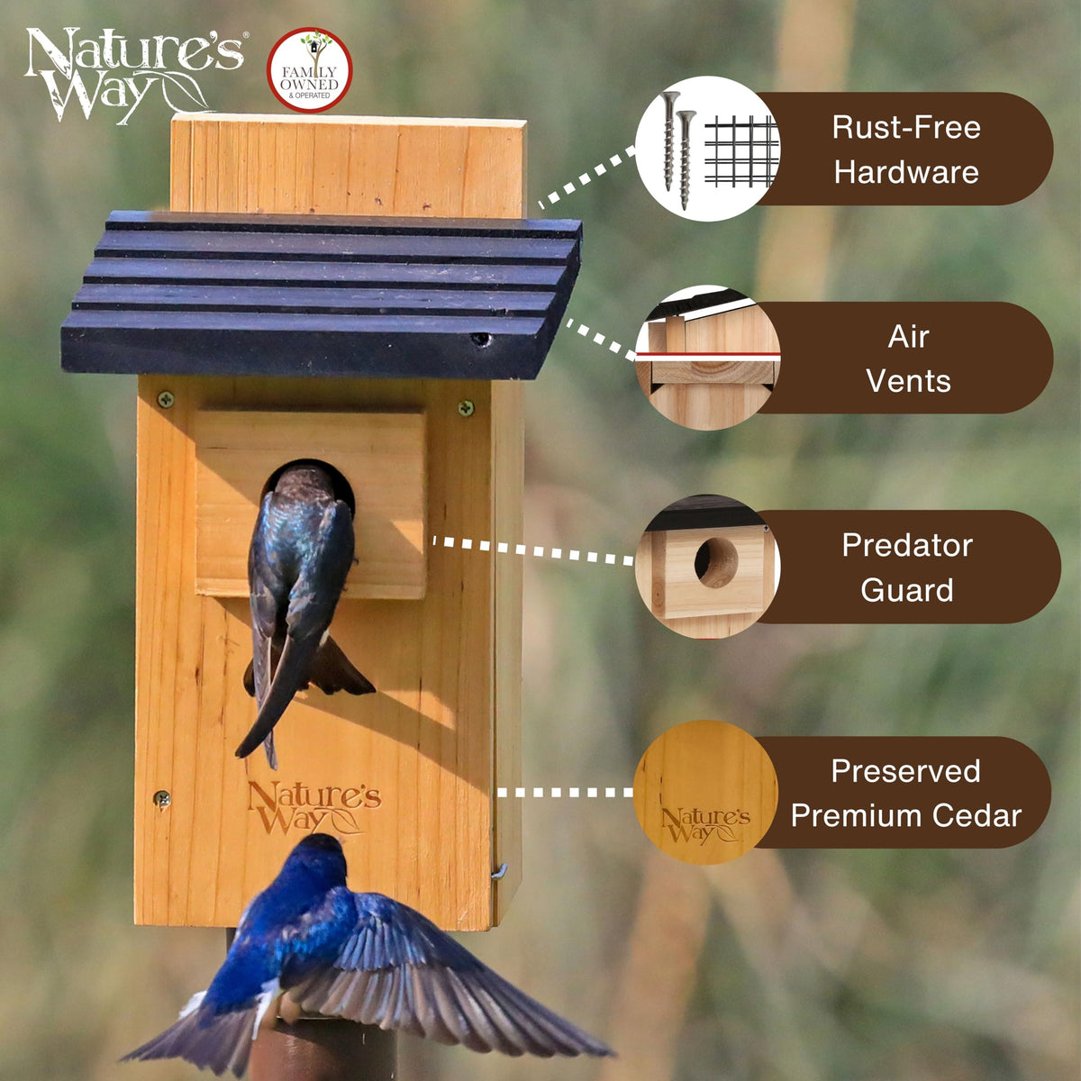Nature's Way Cedar Bluebird Viewing House premium cedar exterior that ages gracefully