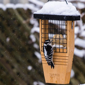 Nature’s Way Cedar Woodpecker Suet Feeder birds feeding on textured cage