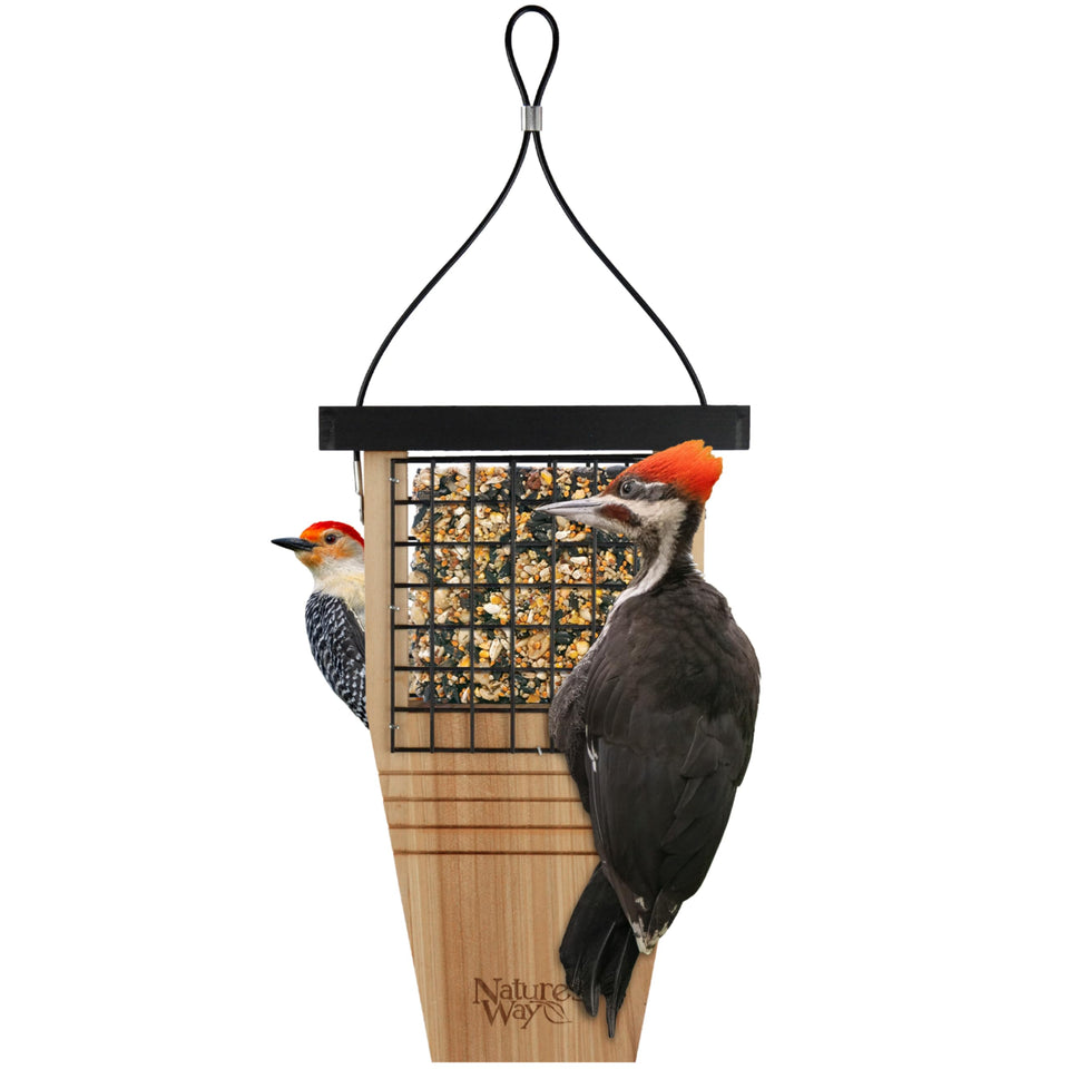 Nature’s Way Cedar Woodpecker Suet Feeder tail-support view boosts balance for large woodpeckers
