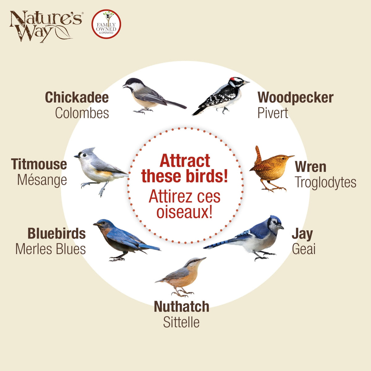 Nature’s Way Cedar Woodpecker Suet Feeder vinyl-coated cable provides secure support